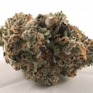 MendoBreath