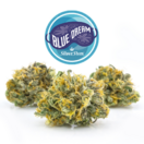 Blue Dream | Indica-Hybrid