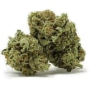 JET FUEL GELATO