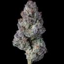 Exotic- Blueberry Caviar