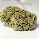Dolato