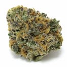 Dark Web - Indica THC 36%