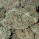 Recon - High Valley Farms