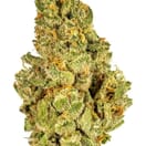 Kush Mints (PREMIUM)