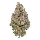 Green Crush (Top Shelf)