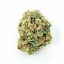 CANDYLAND - 5 GRAMS