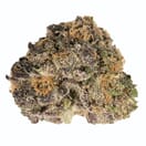 Purple urkle
