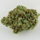 24K GOLD - 5 GRAMS