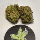 Northern Lights
