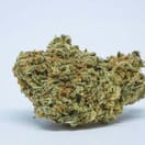 DURBAN POISON - 5 GRAMS