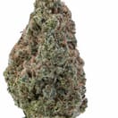Gorilla glue