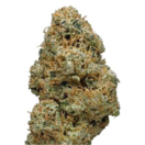 Chem OG (H/S) by Green Man