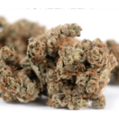 Cherry Burst (Sativa) by Green Man