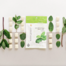 Complement | Cool Mint chewing gum 10 pack | 100mg THC