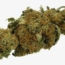 Cali Kush