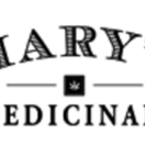 Mary's Medicinals THC Gel Pen 100mg