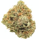 CHAMPAGNE KUSH - 5 GRAMS