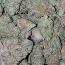Larry OG - High Valley Farms