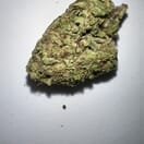 Sugar breath