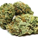 Super Sour Diesel