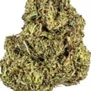 Sherblato (TOP SHELF)