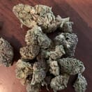 Jungle Apple