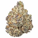 Capri Runtz Designer Exclusives | 42% THC Premium Cannabis