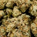 Purple Punch