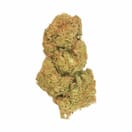 Sundae Driver (EXOTIC A+)