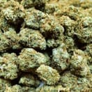 Super silver haze