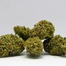 Grapefruit Diesel