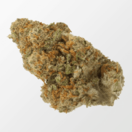 Good Medicine #1