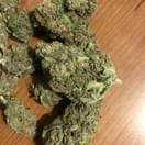 MAZUR BlUEBERRY OG