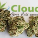 Dank Dough - Exotic SMALLS
