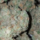 Blue Dream