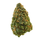 Buddah Kush (Top Shelf)