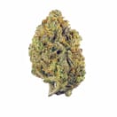 Aloha (EXOTIC A+)