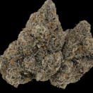 Big Bud (Ultra Designer)