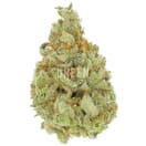 Amnesia Haze AAA Sativa - Premium Cannabis Strain