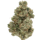 Ghost Train Haze (Sativa)