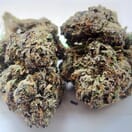 Grape Gorilla Glue- A+ Exotic