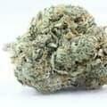 Blueberry Kush