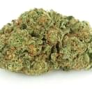 Jack herer