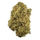 Girl Scout Cookies