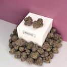 Tropicana Cookies-Designer A+++