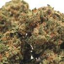 Trainwreck