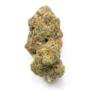 Yeti OG AAA