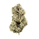 GORILLA GLUE