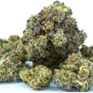 Gelato (exotic)