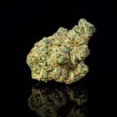 Apple Fritter